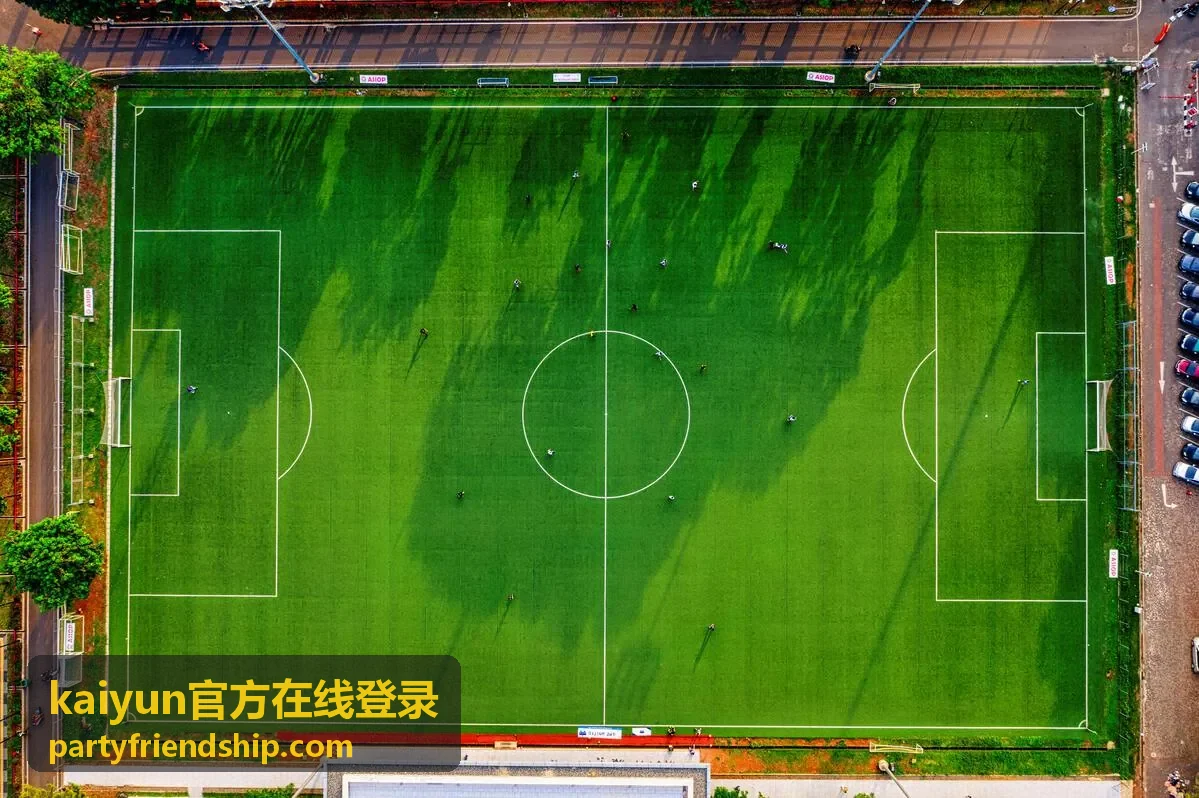 kaiyun官方在线登录 站点入口指引封面